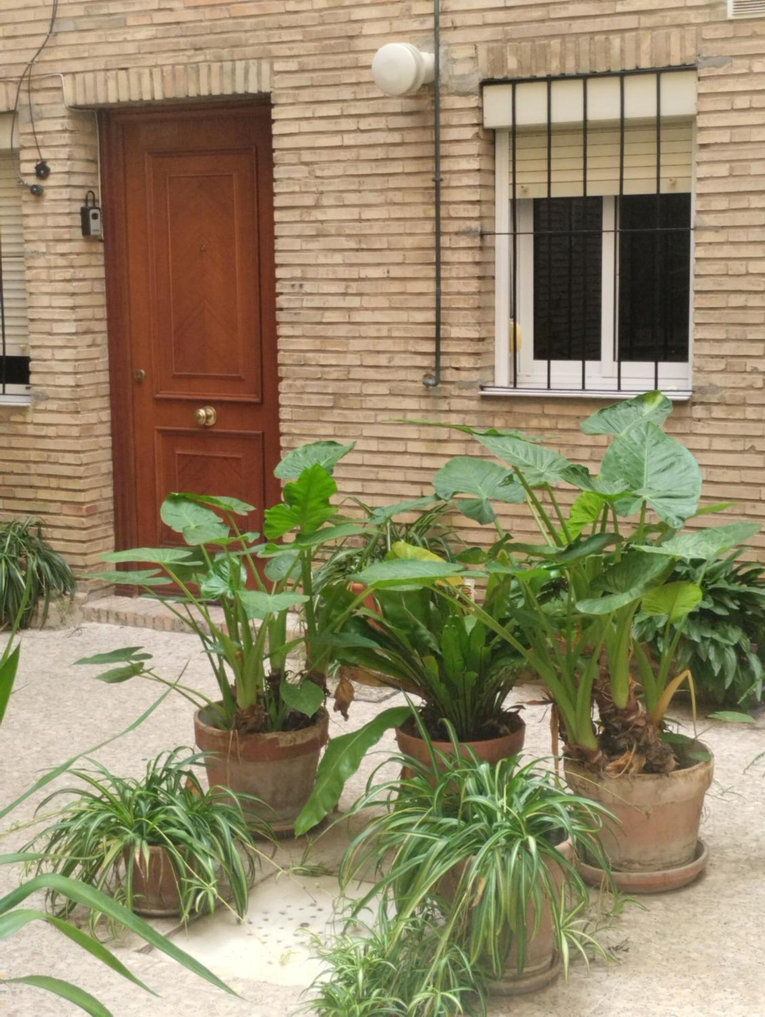 La Casa De Pepa Apartamento Sevilha Exterior foto